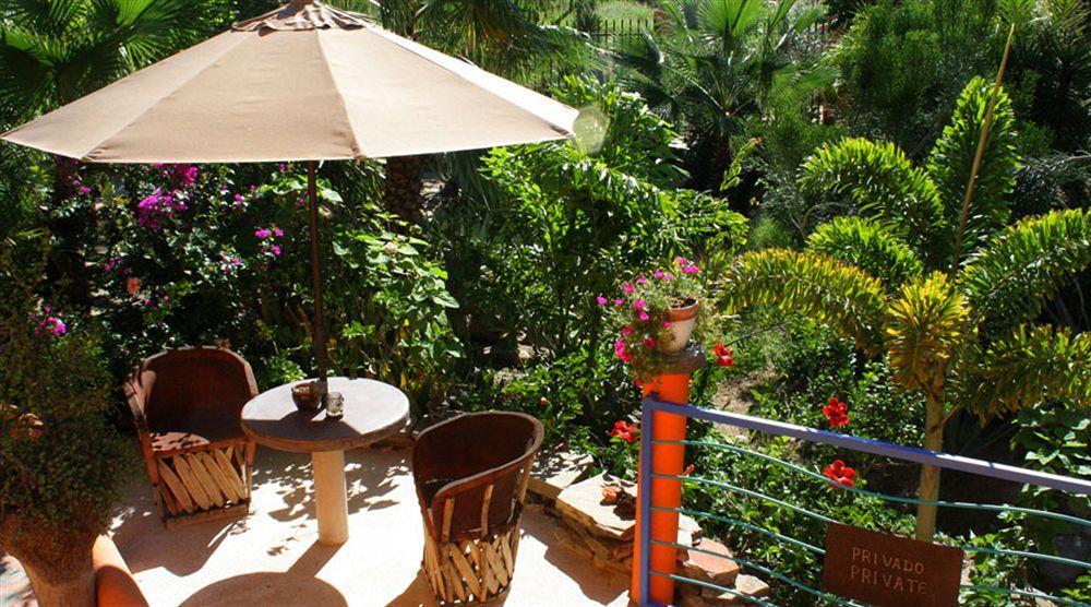 Hotel Posada La Poza 托多斯桑托斯 外观 照片