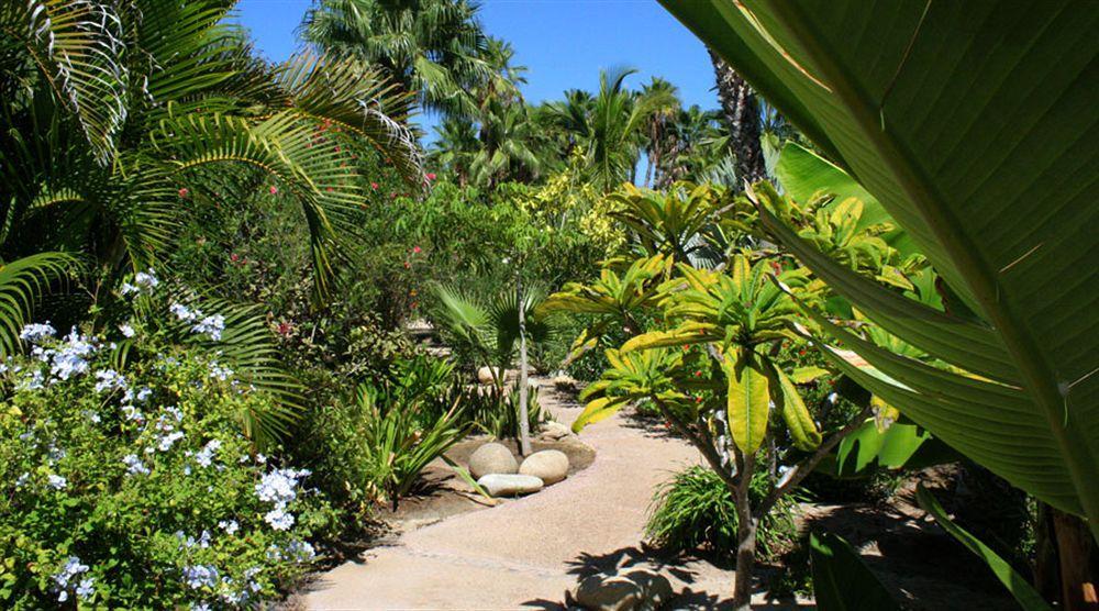 Hotel Posada La Poza 托多斯桑托斯 外观 照片
